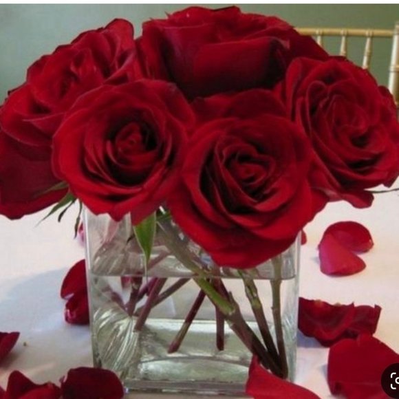 Meet your Posher, Merry - Picture 3 of 3